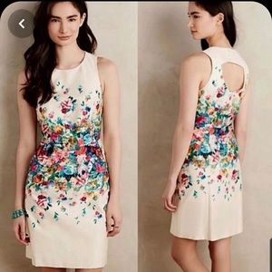 Anthropologie Maeve Floral Sheath Dress (10)